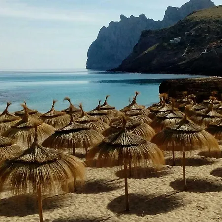 El Pinar Cala de Sant Vicenc